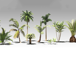 现代东南亚热带植物 su草图模型下载
