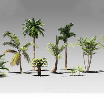 现代东南亚热带植物 su草图模型下载