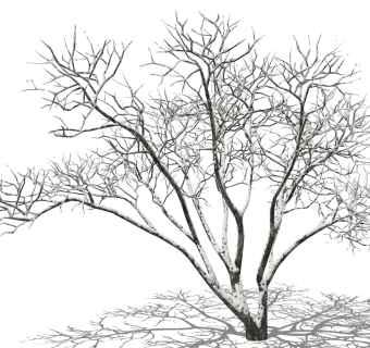 现代风格冬季景观树su草图模型下载