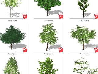 现代风格<em>冬季</em>景观树 su草图模型下载
