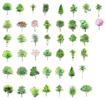 现代风格冬季景观树su草图模型下载
