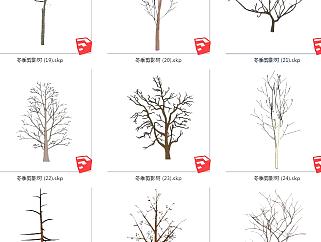 现代风格冬季景观树su草图模型下载