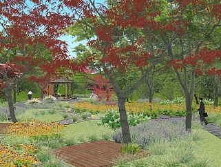 63红枫谷茶园景观规划  现代风格公园景观 现代公园  公园景观   中式园林建筑su草图模型下载