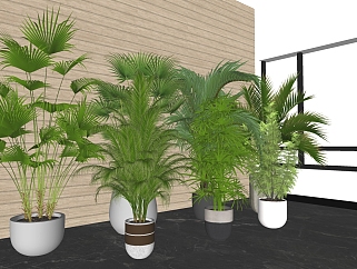 植物<em>盆栽组合</em> 装饰植物su草图模型下载