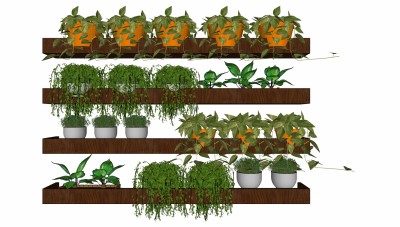 景观植物 置物架 盆景盆栽 植物墙su草图模型下载