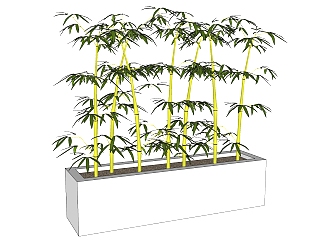 盆景 竹子植物 绿植su草图模型下载
