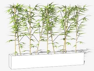 现代盆景 竹子植物 绿植 su草图模型下载