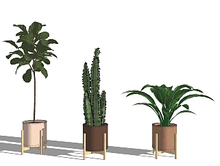 景观盆栽植物 盆景 装饰植物 仙人掌 su草图模型下载