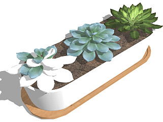 多肉植物 盆栽 盆景 装饰植物组合su草图模型下载