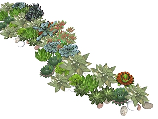 多肉植物 盆栽 盆景 装饰植物组合 su草图模型下载