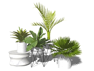 植物盆景 盆栽  组合 金属植物架子 su草图模型下载