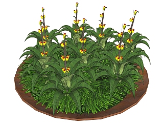 植物盆景 盆栽 装饰植物su草图模型下载