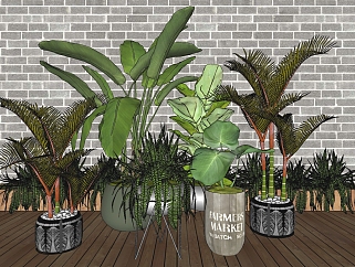 景观植物盆栽摆件 装饰植物 金属置物架组合su草图模型下载