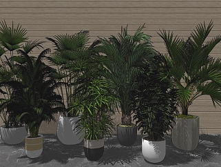 植物盆栽组合 装饰景观盆栽su草图模型下载
