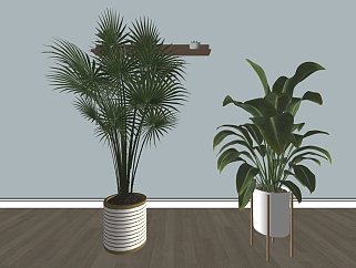 装饰植物盆栽 植物树组合 su草图模型下载