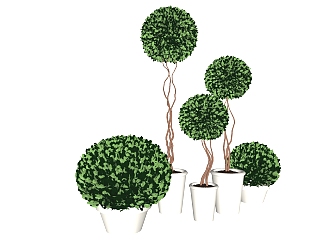 北欧绿植盆栽 装饰<em>植物盆栽</em> 植物树组合su草图模型下载