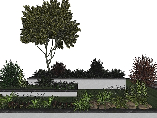 景观植物 盆栽 景观树池 su草图模型下载