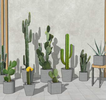 现代仙人掌盆栽 装饰盆栽组合  su草图模型下载