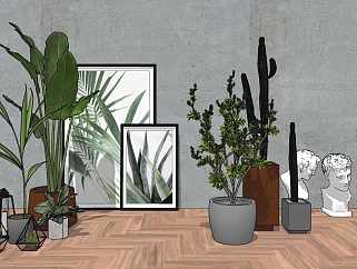 <em>现代景观植物</em>盆栽 装饰植物 装饰画组合su草图模型下载