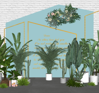 盆景盆栽 婚礼婚庆 美陈网红 背景墙 合影区，绿植植物，su草图模型下载