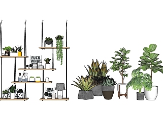 装饰植物 木质置物架 盆栽 绿植 装饰植物组合su草图模型下载