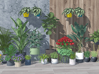 绿植盆栽 花艺 热带植物 吊篮 美人蕉  装饰植物组合su草图模型下载