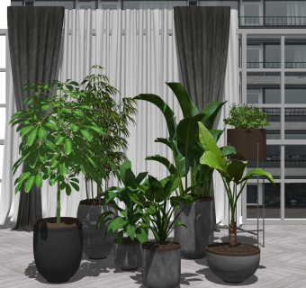北欧轻奢植物盆栽花盆绿植 窗帘su草图模型下载