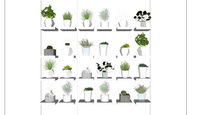 滴水观音仙人掌盆栽组合花盆阳台植物su草图模型下载