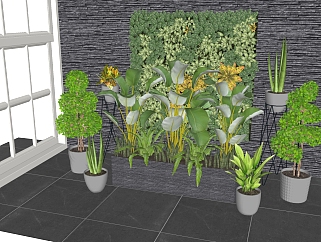 绿植盆栽组合 景观 植物 绿植墙，植物墙su草图模型下载