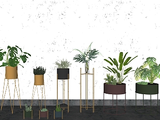 盆栽植物组合 绿植 装饰植物su草图模型下载