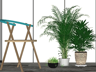 景观植物盆栽  装饰植物 su草图模型下载