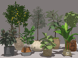 北欧景观植物<em>盆栽摆件</em> 装饰植物 su草图模型下载