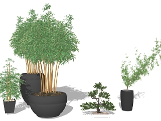 装饰竹子组合 盆栽装饰植物 松树盆栽组合su草图模型下载