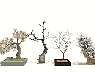 中式盆栽盆景 枯树 枯支 树干  su草图模型下载