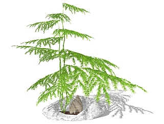 现代<em>竹子</em> 盆栽 室外植物 <em>景观</em>小品su草图模型下载
