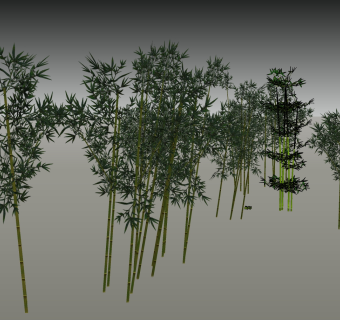 现代室外竹子  ，竹林su草图模型下载