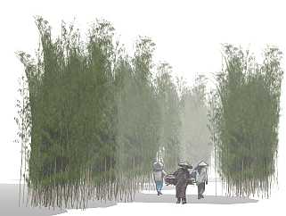 现代室外竹子 竹林植物 su草图模型下载