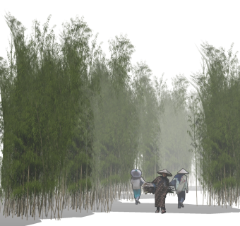 现代室外竹子 竹林植物 su草图模型下载