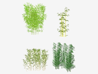 现代<em>竹子</em>植物，竹林<em>su</em>草图<em>模型</em>下载