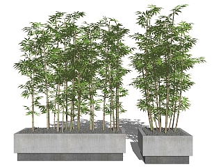 现代竹子植物 su草图模型下载