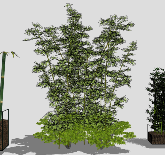 现代植物 竹子竹堆 竹林组合 盆栽su草图模型下载