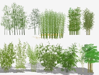 现代<em>竹子</em>植物，<em>竹子</em>，竹林su草图模型下载