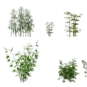 现代竹子植物  su草图模型下载