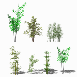 现代竹子植物 su草图模型下载