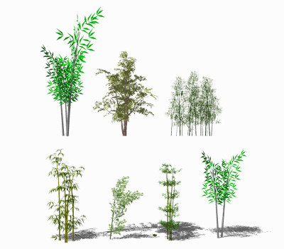 现代竹子植物 su草图模型下载