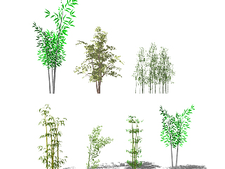 现代竹子植物 su草图模型下载