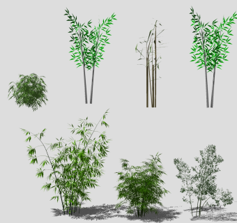 现代竹子植物  su草图模型下载