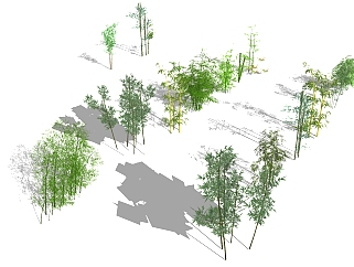现代竹子植物  su草图模型下载