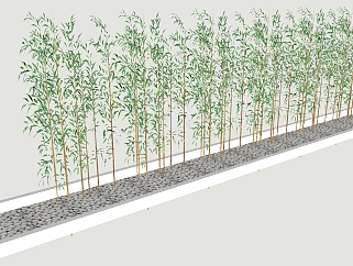 现代竹子植物 <em>景观树池</em>su草图模型下载