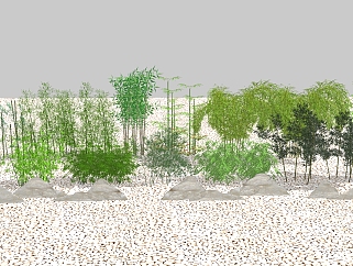 新中式景观植物，<em>竹子，</em>竹林su草图模型下载